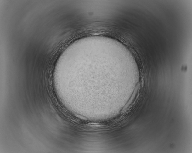 X0000113980316200911131101