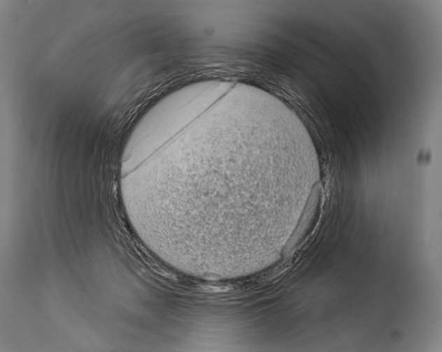 X0000113980317200911131101