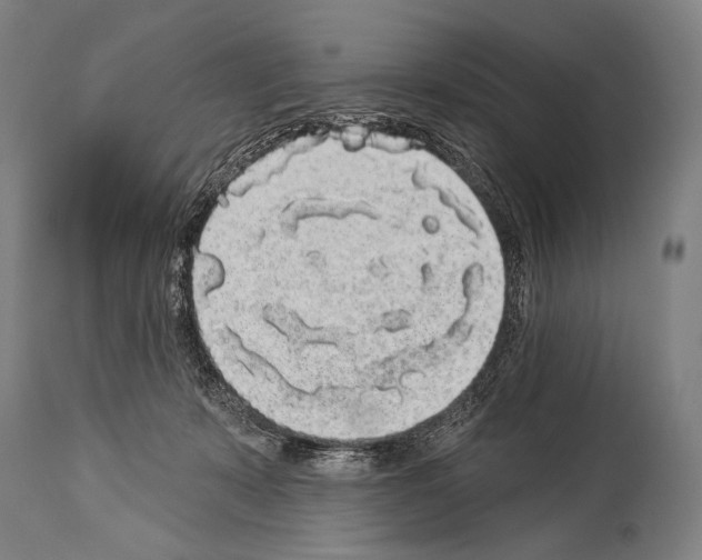X0000113980319200911131101