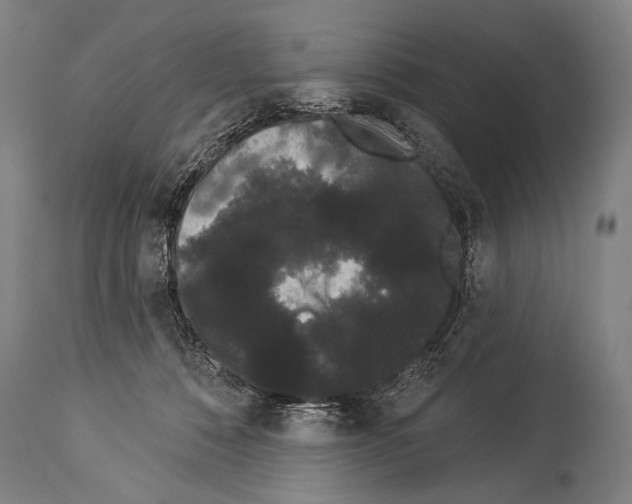 X0000113980320200911131101