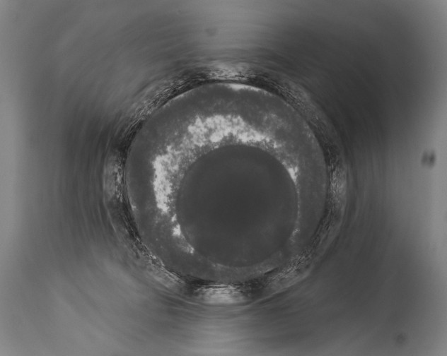 X0000113980322200911131101