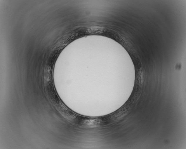 X0000113980323200911131101
