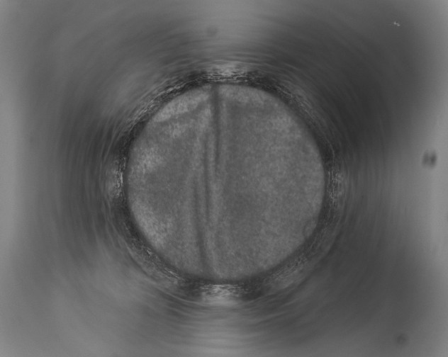 X0000113980324200911131101