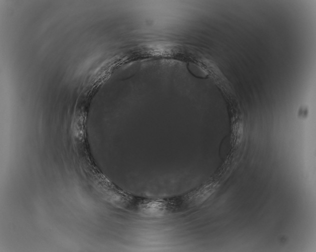 X0000113980325200911131101