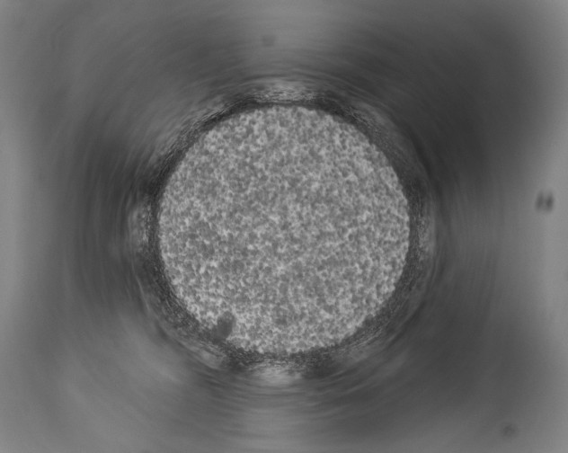 X0000113980326200911131101