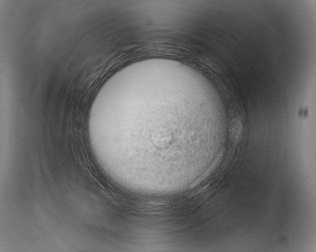 X0000113980327200911131101
