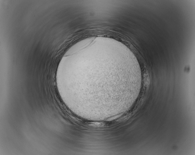 X0000113980328200911131101