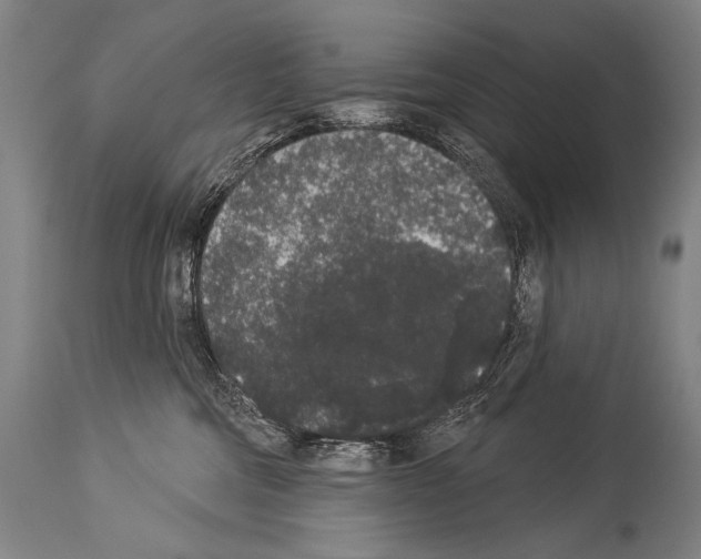 X0000113980330200911131101