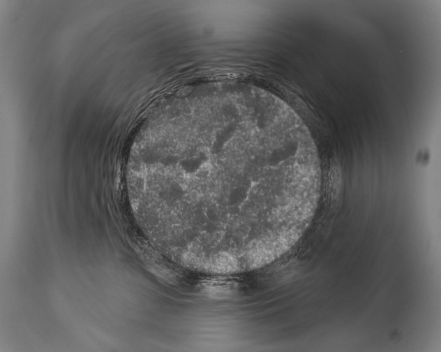 X0000113980331200911131101
