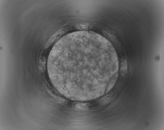 X0000113980332200911131101