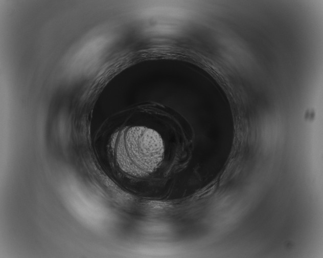 X0000113980333200911131101