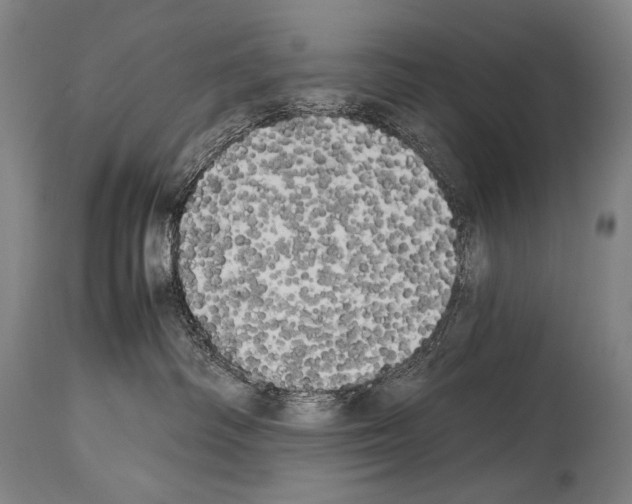 X0000113980334200911131101