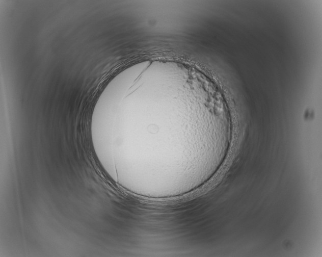 X0000113980336200911131101