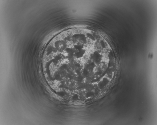 X0000113980337200911131100