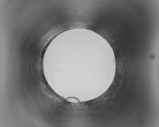 X0000113980338200911131100
