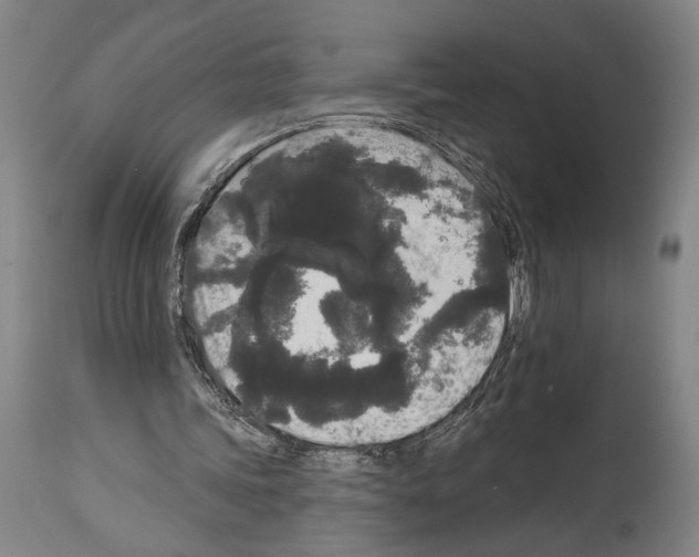X0000113980339200911131100