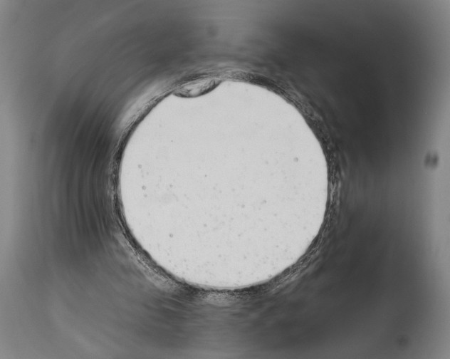 X0000113980341200911131100