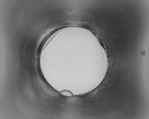 X0000113980342200911131100