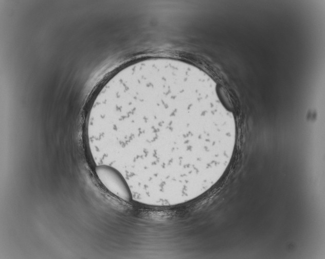 X0000113980344200911131100