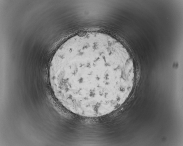 X0000113980345200911131100