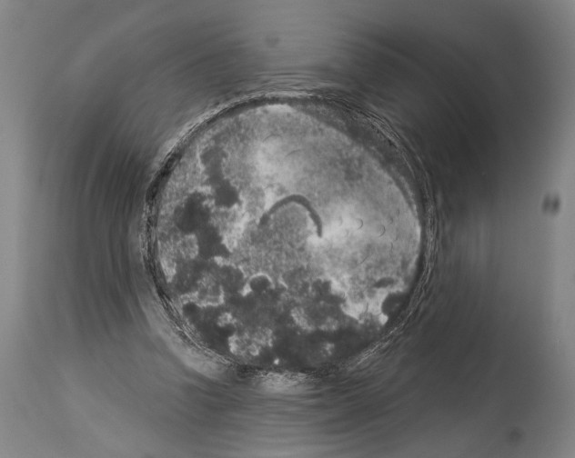 X0000113980346200911131100