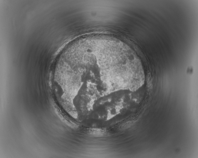 X0000113980347200911131100