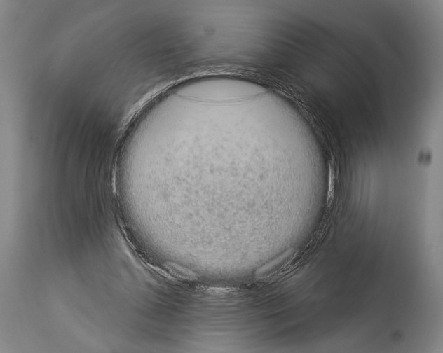 X0000113980348200911131100