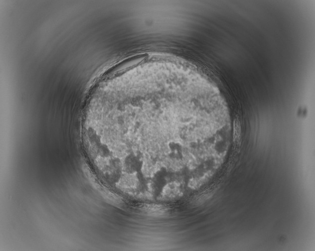X0000113980349200911131100