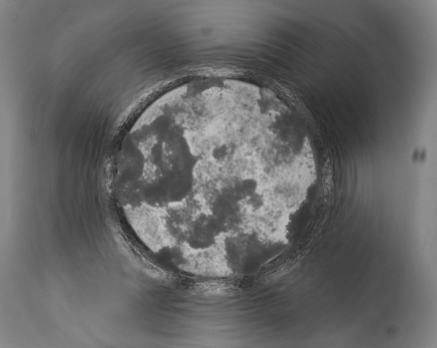 X0000113980351200911131100