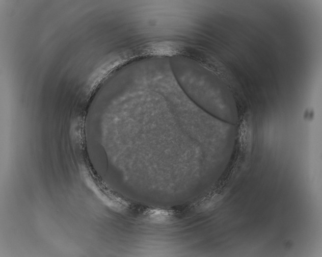 X0000113980352200911131100