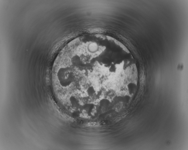X0000113980353200911131100