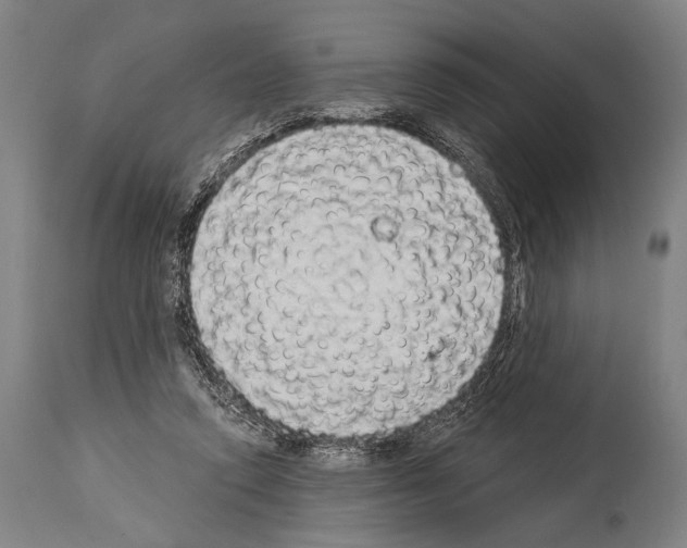 X0000113980354200911131100