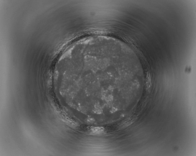 X0000113980355200911131100