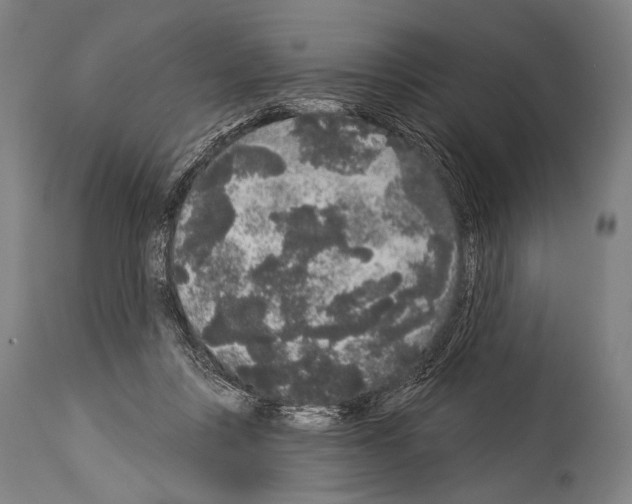X0000113980359200911131100