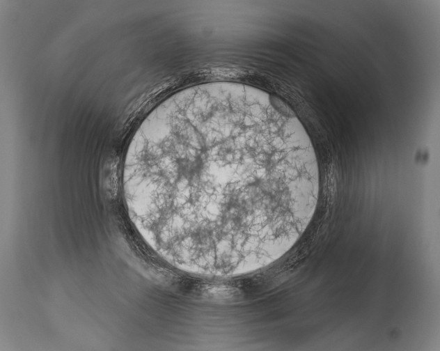 X0000113980360200911131100
