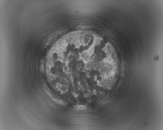X0000113980361200911131100