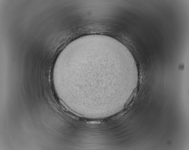X0000113980362200911131100