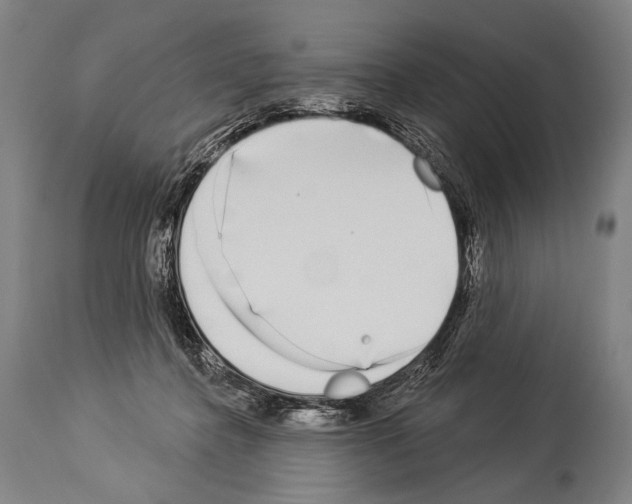 X0000113980364200911131100