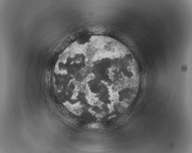 X0000113980365200911131100