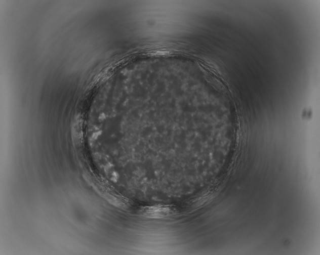 X0000113980366200911131100