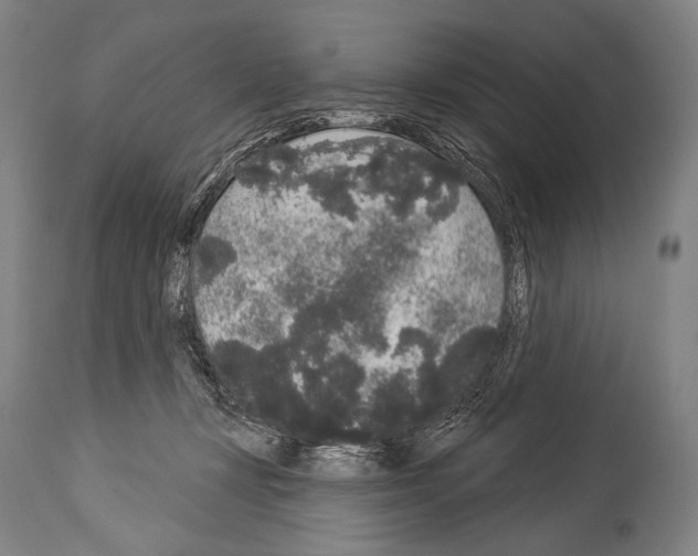 X0000113980367200911131100