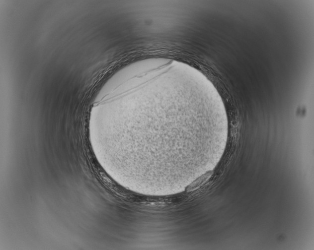 X0000113980368200911131100