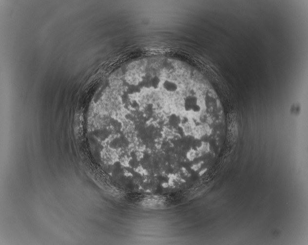 X0000113980369200911131100