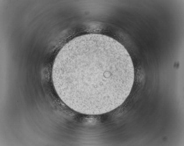 X0000113980370200911131100