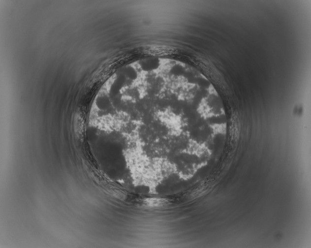 X0000113980371200911131100