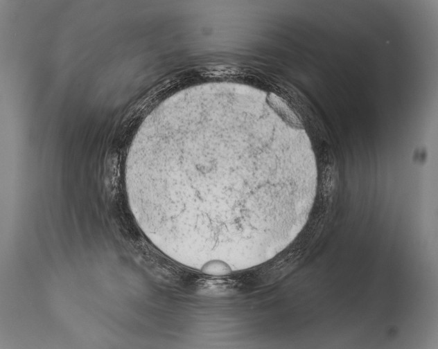 X0000113980372200911131100