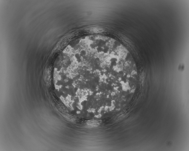 X0000113980373200911131100