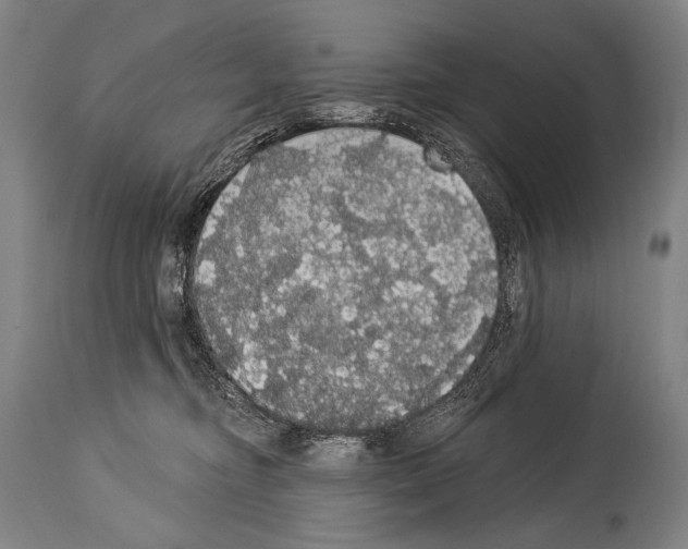 X0000113980374200911131100
