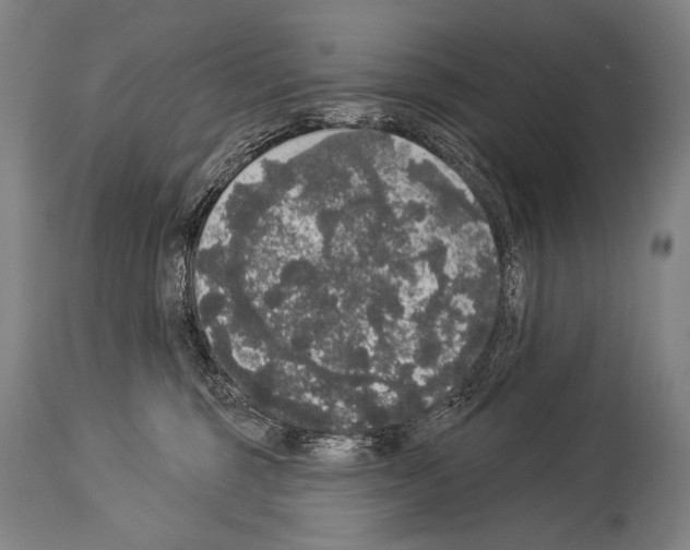 X0000113980375200911131100