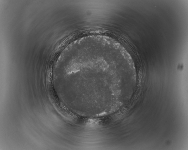 X0000113980376200911131100